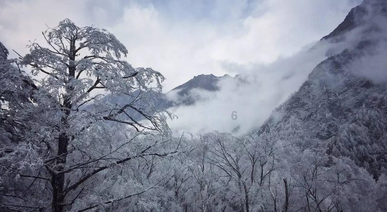 “五方协同合作、共治消费环境” 厦门同安揭牌“消费环境协同治理中心”