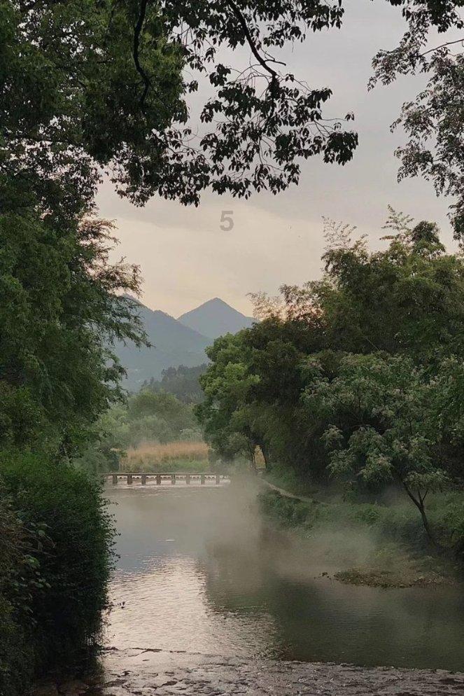 蜜蜂救援
