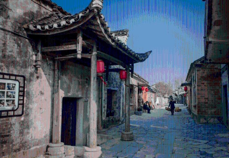 动物帮帮忙保卫家园